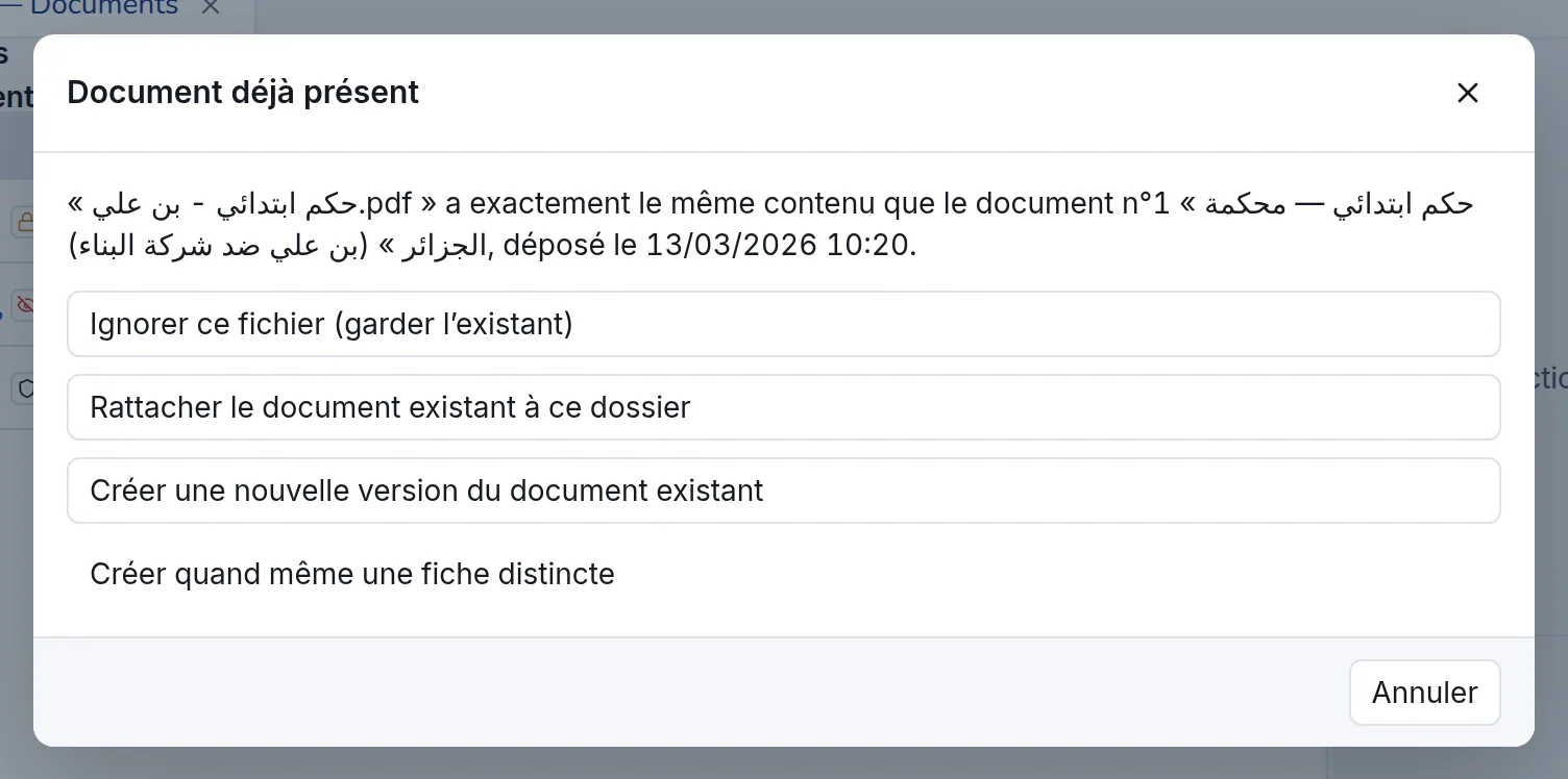Fenêtre « Document déjà présent » avec ses quatre choix